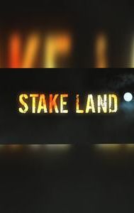 Stake Land: Origins