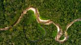 Unraveling the Scientific Mismatch: The Amazon’s Surprising Drought Response