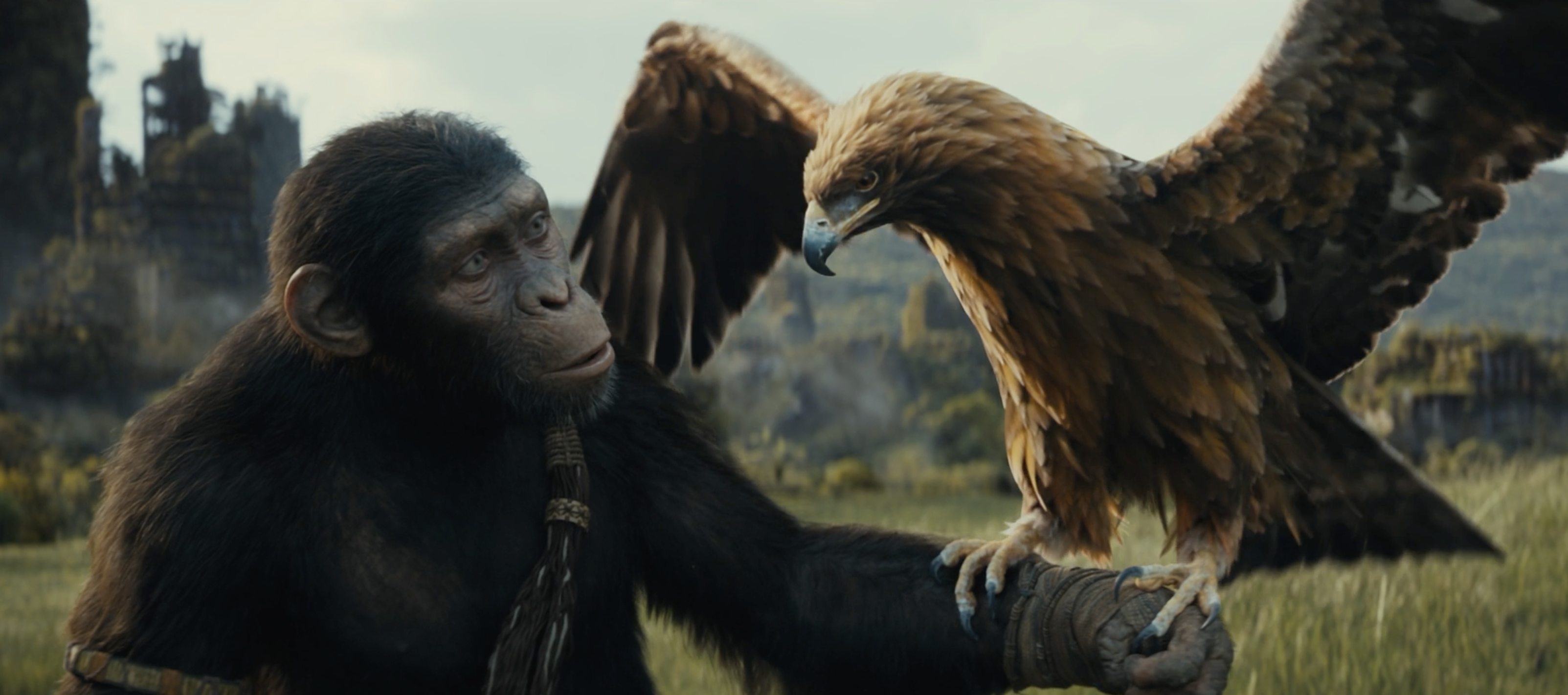 There's 'a lot of story to tell' in the Apes franchise before Charlton Heston original