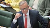 Anthony Albanese suffers major betrayal in the ranks over Palestine