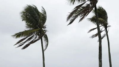 Previsão do tempo: Nordeste tem alerta de vendaval e ventos costeiros nesta terça-feira (1º) - Imirante.com