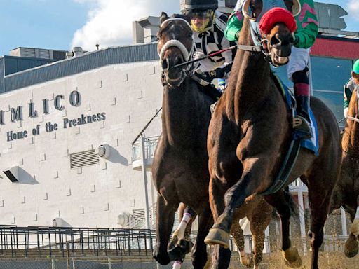 11-Day Preakness Meet Kicks Off Thursday At Pimlico