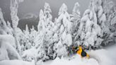 The Best Ski Resorts in the U.S. (2023)