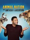 Animal Nation with Anthony Anderson