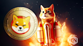 Shiba Inu price soars on massive token movement by whales