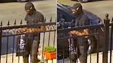 Man in black sought for triple shooting at Bronx cookout