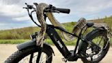 Another use for e-bikes: python hunting in the Florida Everglades