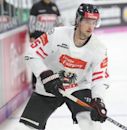 Raphael Wolf (ice hockey)