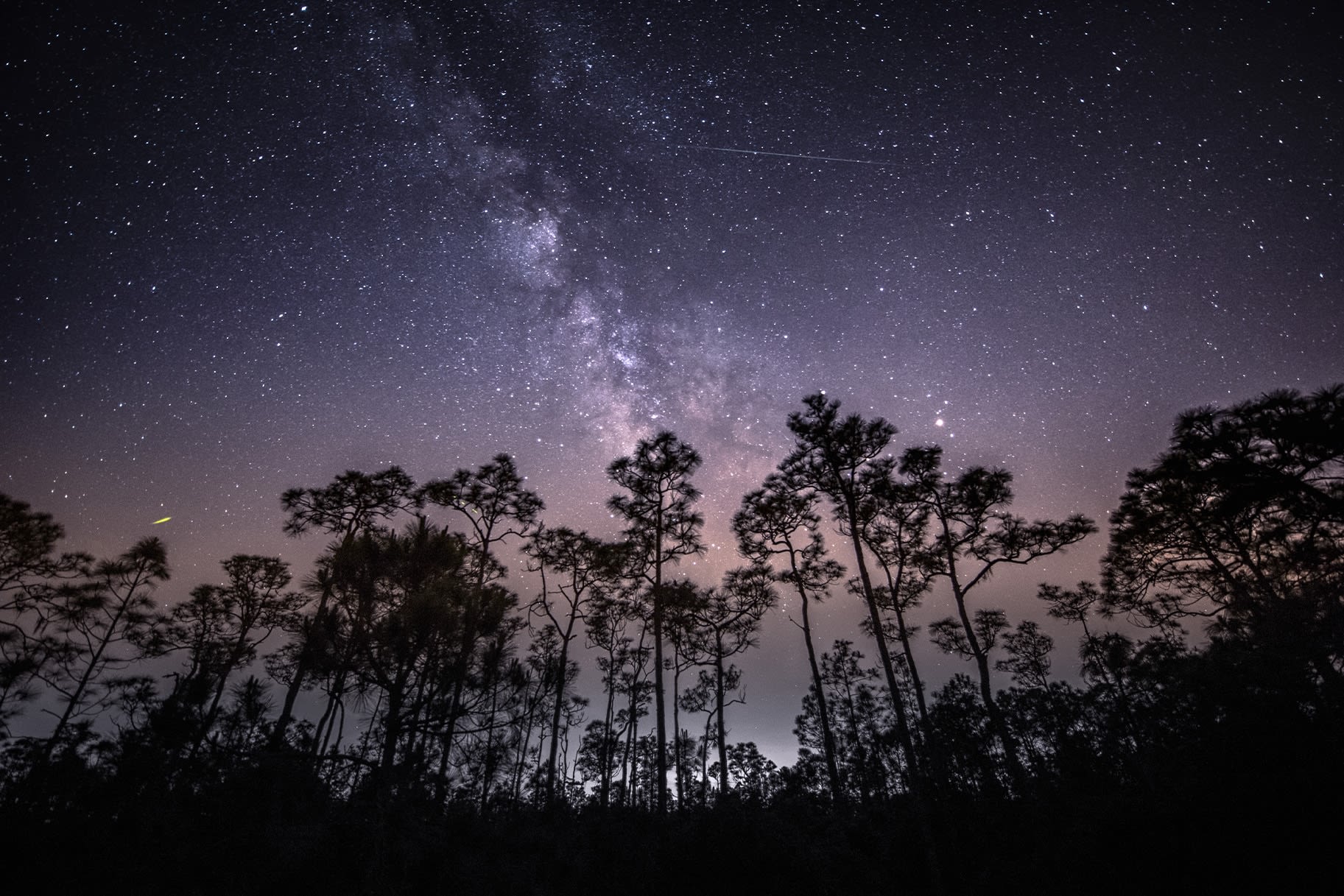 How to Catch the Eta Aquarids Meteor Shower, Leftover Debris from Halley's Comet