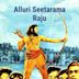 Alluri Seetarama Raju (film)