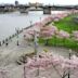 Tom McCall Waterfront Park