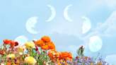 How the New Moon in Aries of March 2023 Will Affect Each Zodiac Sign