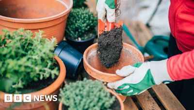 Inverness and Edinburgh Dobbies set to shut by end of the year