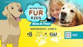 Working Fur Kids Giveathon | June 5 on CBS 8