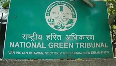 Around 20% of ponds in UP’s Gautam Buddha Nagar district encroached on, National Green Tribunal told