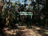 Cumberland State Forest (New South Wales)