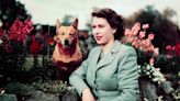 This Upcoming Photography Exhibit Is Dedicated to Queen Elizabeth's Love of Corgis