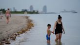 Un baño en el mar refresca cuando hace calor, ¿no? En la ola de calor de Florida, no tanto