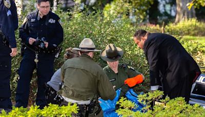 Robert F. Kennedy Jr. says he left a dead bear in Central Park as a prank