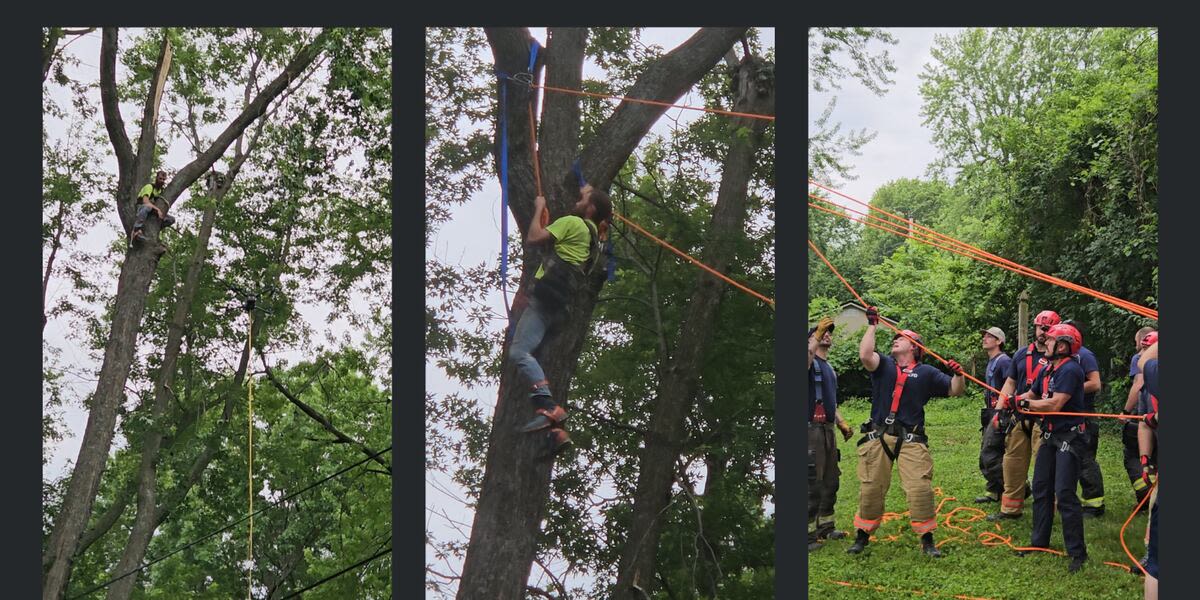 Fire department rescues Raytown tree trimmer stranded 65 feet above ground