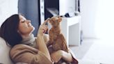 Los mejores tips para saber si tu gato te quiere