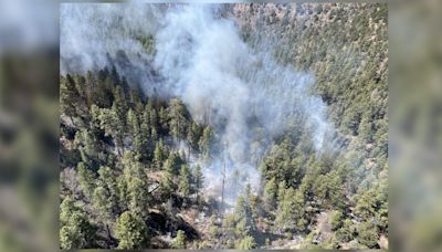 Crews address wildfire in Santa Fe National Forest