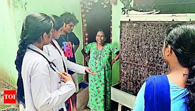 Dengue Outbreak in Sundargarh District, RSP Township Declared High-Risk Zone | Bhubaneswar News - Times of India