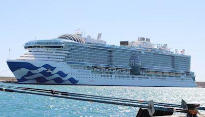 Princess Cruises Ship Cleared for Arrival After Extended Days at Sea