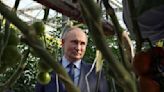 Neue Sanktionen: CDU fordert vollumfängliches EU-Importverbot für russische Lebensmittel