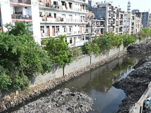 Major drain choked, Delhi’s Maharani Bagh stares at flooding after rain