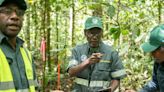 Cómo la innovación forestal protege al planeta