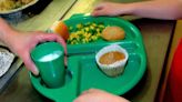 Too many UK children go to school hungry, says top Tory backing farm surplus food scheme for families