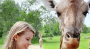 5. Giraffes and Gila Monsters