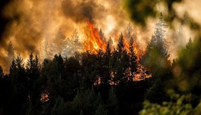California's Park Fire: Thousands evacuated as man accused of starting blaze charged with arson