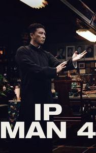 Ip Man 4: The Finale