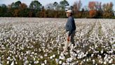 Black farmer looks to rethink stigma of picking cotton