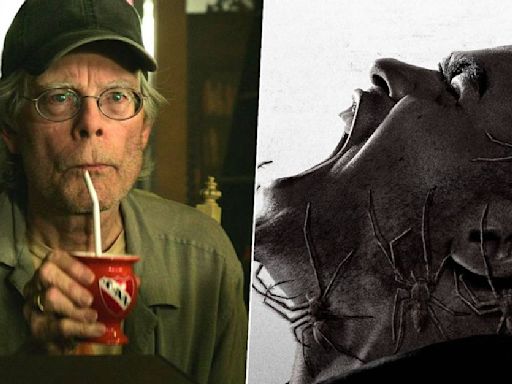 Stephen King hypes up new spider horror movie with great Rotten Tomatoes score