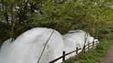 Freaky 10ft-wall of foam like 'solid washing up liquid' bubbles down Burnley stream