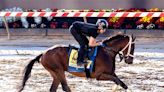 Preakness Notebook: Catching Freedom Catching Glances