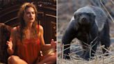 From honey badgers to octopuses, Margot Robbie reveals the animals that have inspired her roles