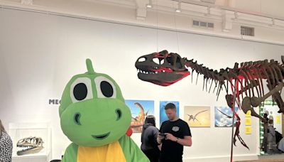 Dinosaurs arrive on Worcester City Museum's doorstep