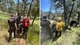 Fallen horse rider rescued from Northern California forest