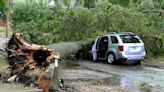 National Weather Service confirms five tornadoes in three-county area Thursday