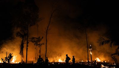 La Amazonía brasileña registra 8.977 incendios en el primer cuatrimestre