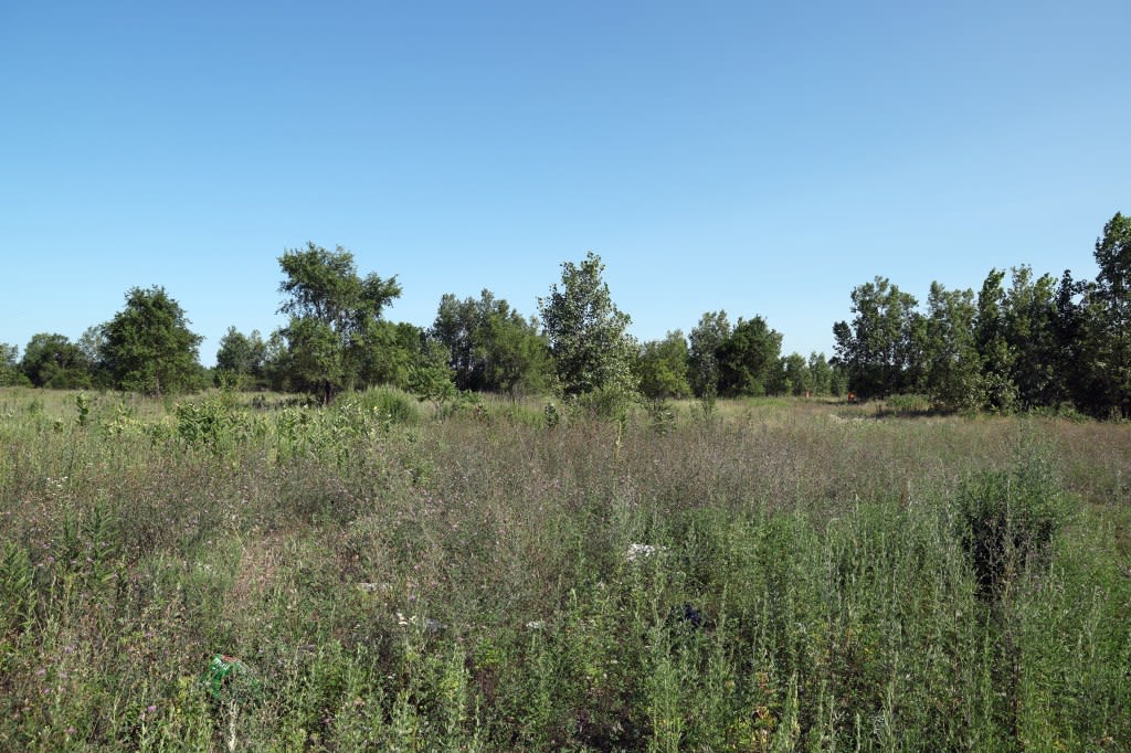 Chicago announces ‘transformational’ quantum computer commercial development at fallow South Works site