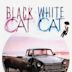 Black Cat, White Cat