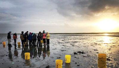 William & Mary expands new climate-focused major, deepens coastal research with $100 million gift