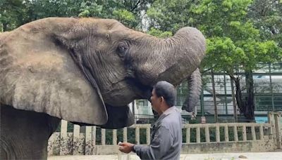 父親節致敬保育員! 壽山動物園曬15位"超級奶爸"身影