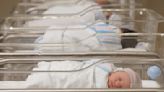 The Numbers Behind America's Quiet Pandemic Baby Surge