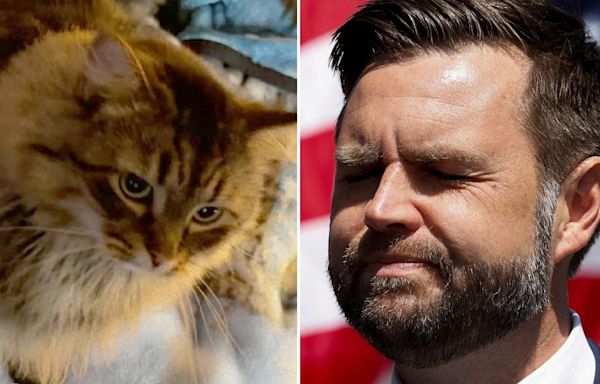 ‘Miss Sassy’ Is Safe: JD Vance’s Pet-Eating Hoax Hits Another Embarrassing Snag